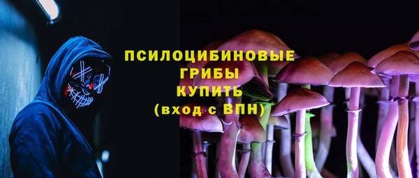 крисы Алзамай