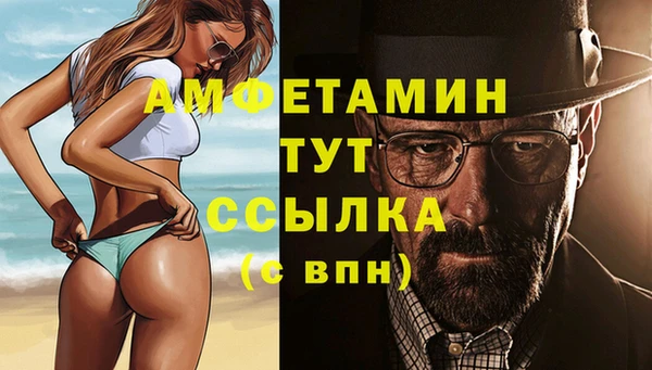 СК Алексин