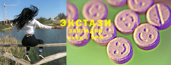 СК Алексин