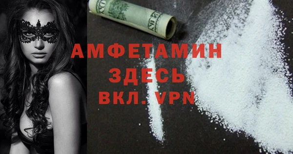 СК Алексин