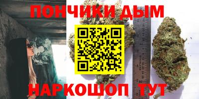 PSILOCYBIN Ярославль