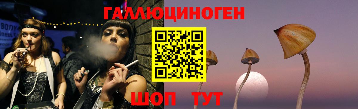 Тында  Галлюциногенные грибы Magic Shrooms  где можно купить наркотик  Вход с VPN 